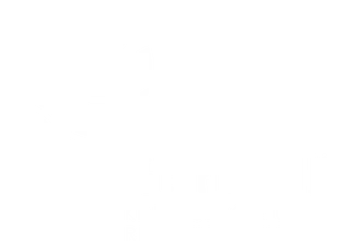 Logo footer